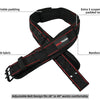 Black heavy-duty padded tool belt featuring removable padding, reinforced stress points, and five D-rings for tool suspension