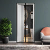 A modern glass door with vertical slats showing an interior space and a potted plant in the foreground.