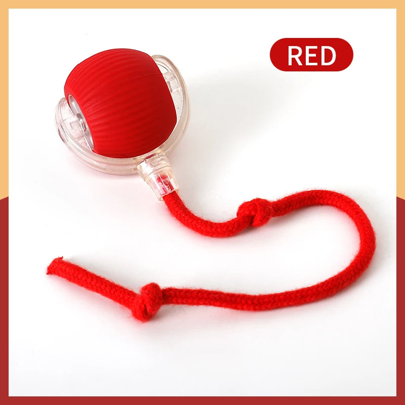 Smart Sensor Cat Toy Ball with Chirping Bird Teaser