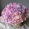 Preserved Hydrangea Flower Heads for Crafts and Home Decor