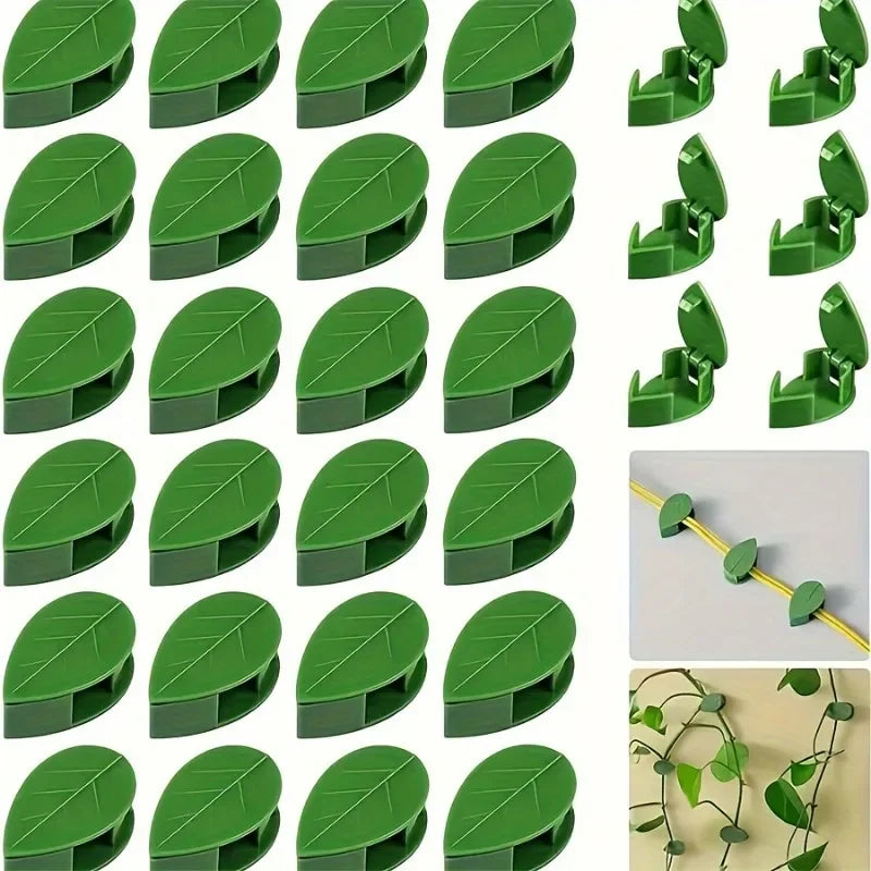 Green invisible plant wall clips designed to hold climbing vines.