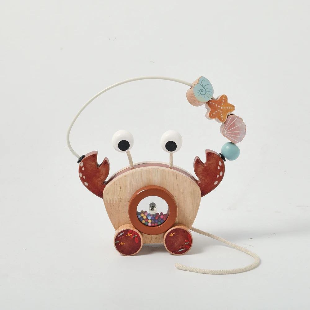 Montessori Wooden Crab Pull Toy with Bead Maze and Life Skills Activities