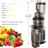 Slow Masticating Cold Press Juicer with Wide Feed Chute