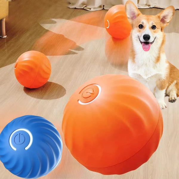 Interactive Smart Dog Ball