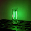 A clear glass LED night light with a warm filament glow is illuminated against a green background.