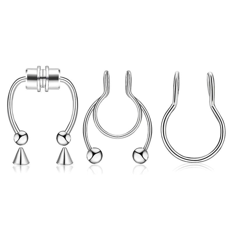 Magnetic Septum Ring Set
