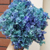 Preserved Hydrangea Flower Heads for Crafts and Home Decor