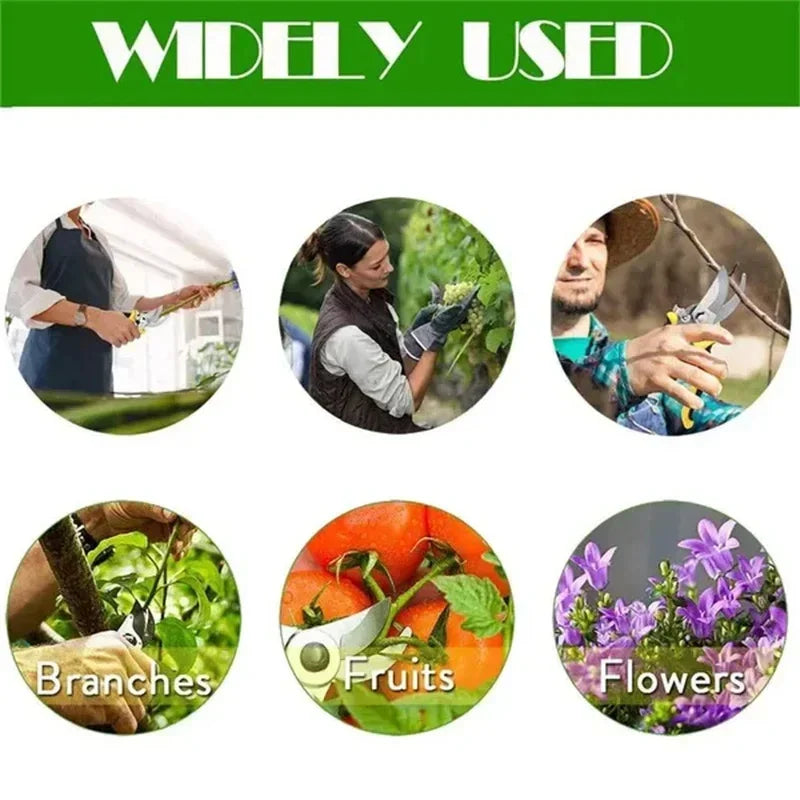 Stainless steel bypass pruning shears with an ergonomic grip shown next to branches, fruits, and flowers.
