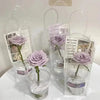 Clear PVC Gift Bags with Handles