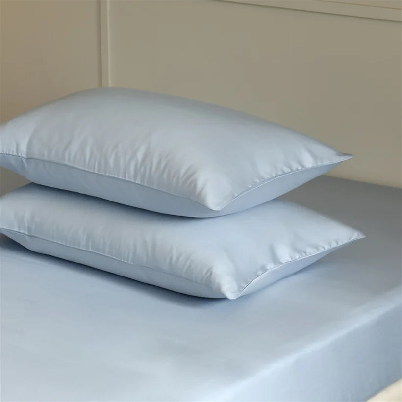 Luxury Mulberry Silk Pillowcase Set (2-Pack)