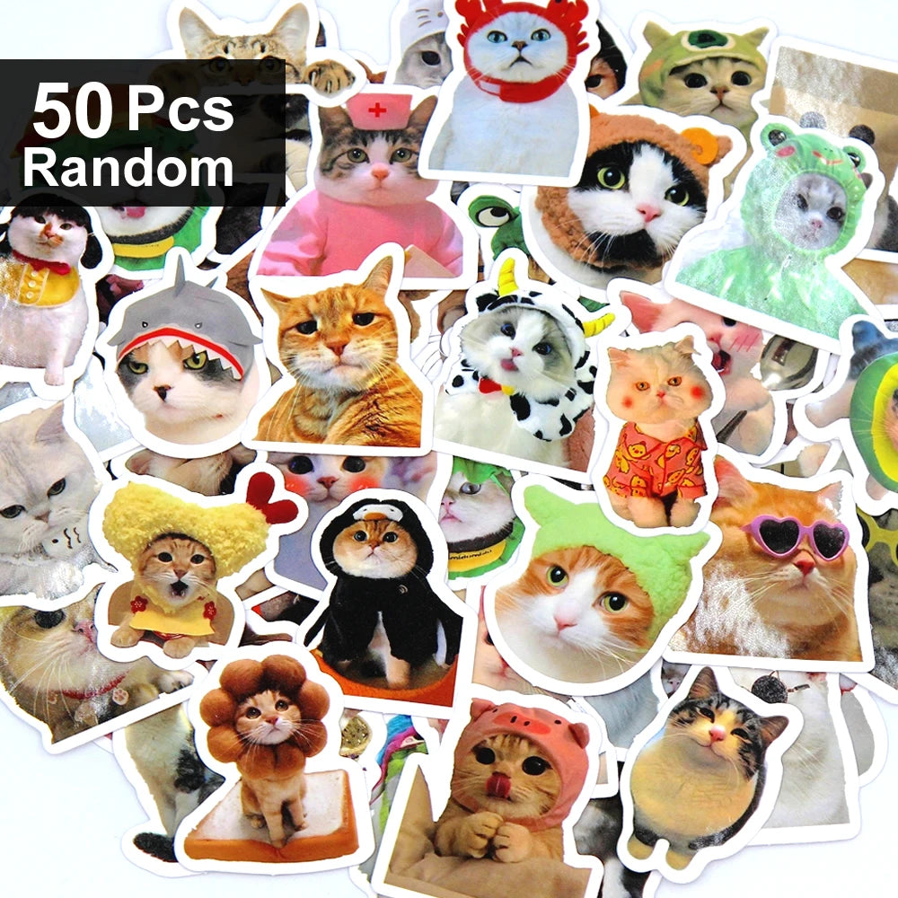 Funny Cat Sticker Pack for Laptops, Water Bottles & More
