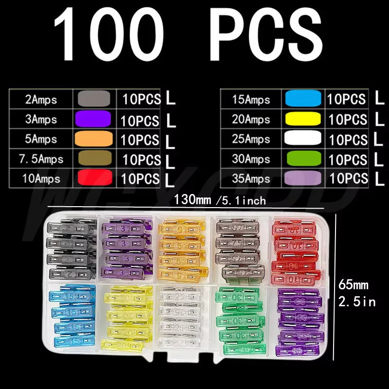 Standard & Mini Blade Fuse Assortment Kit for Cars and Trucks