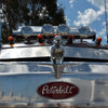 Silver hood ornament featuring a sculpted duck for a car or motorcycle.