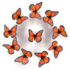 A circular arrangement of ten realistic orange and black monarch butterfly magnets