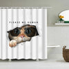 A white shower curtain featuring a cartoon cat wearing sunglasses looking out from the fabric.