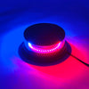 A magnetic mount LED emergency strobe light emitting bright purple and pink light against a blue background.