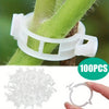 A collection of clear reusable plant clips for garden support and vine fixing, shown alongside a single clip.