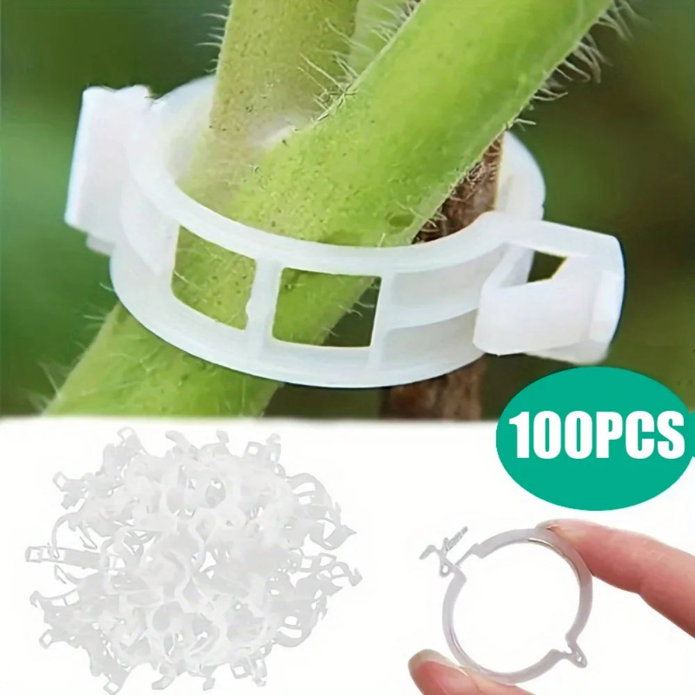 A collection of clear reusable plant clips for garden support and vine fixing, shown alongside a single clip.