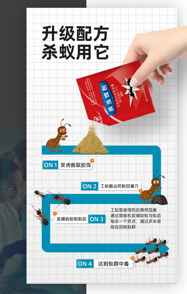 Instruction sheet showing four steps for using high-strength ant bait