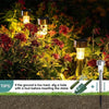 A set of ten solar-powered garden path lights illuminating red foliage in a garden setting.