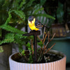 Solar-Powered Resin Bird Garden Stake Light