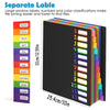 A4 File Organizer with Monthly Dividers and Color-Coded Tabs
