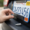 Stainless Steel Petal Rivet Nuts for Secure Panel and License Plate Mounting