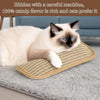 Interactive Catnip Pillow Toy