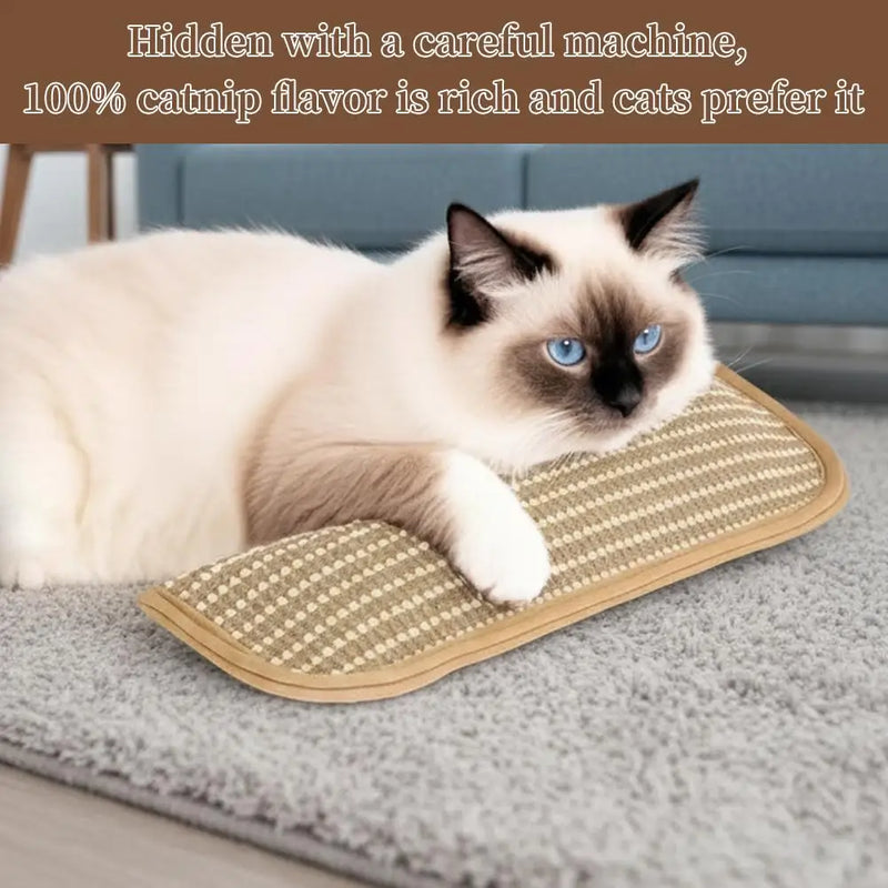 Interactive Catnip Pillow Toy