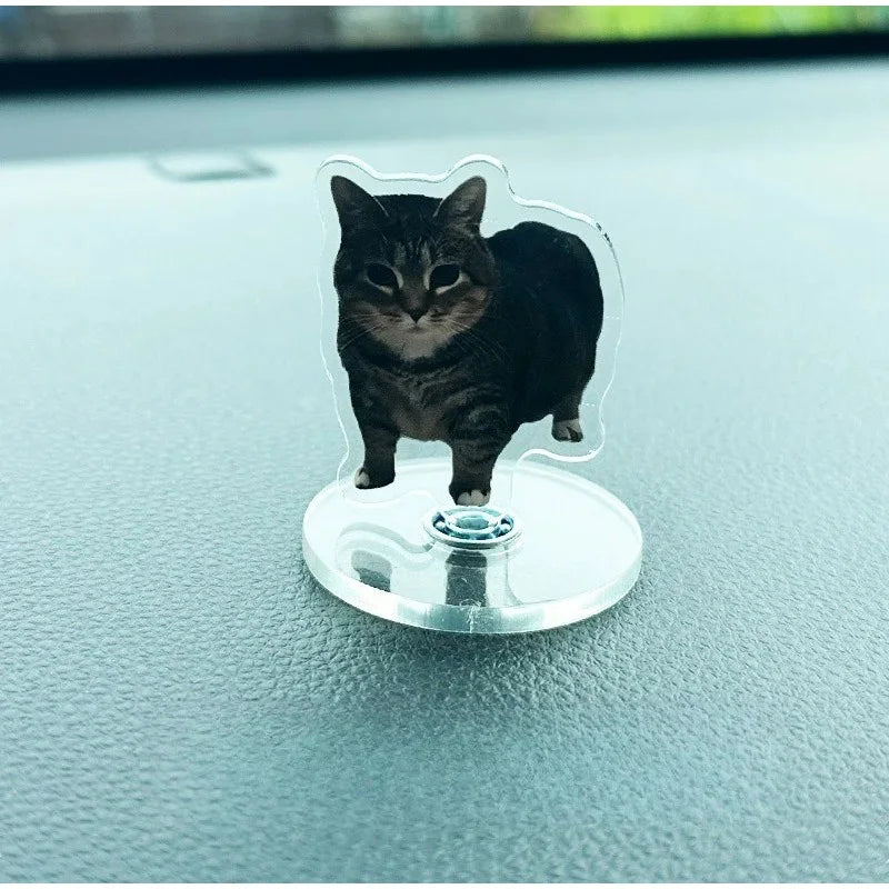 A black cat figurine is mounted on a clear acrylic base, designed as a dashboard ornament.