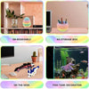A set of six articulated mini dragons used for Easter and decor, shown on a bookshelf, as a storage box, and as fish tank dec