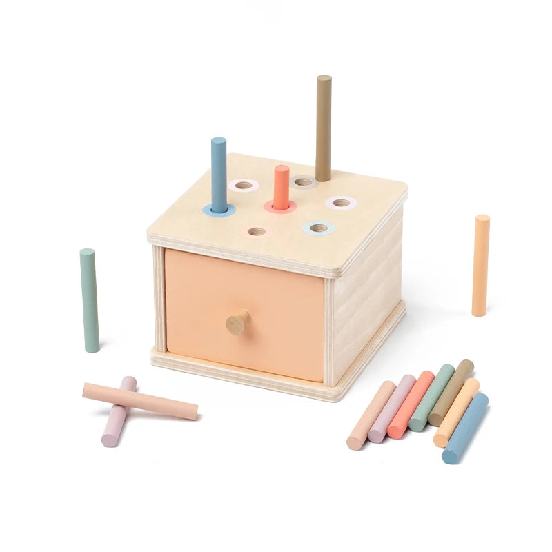 Montessori 4-in-1 Wooden Color Sorting & Shape Matching Box for Toddlers