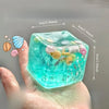 Ocean Shell Ice Cube Squishy Stress Ball