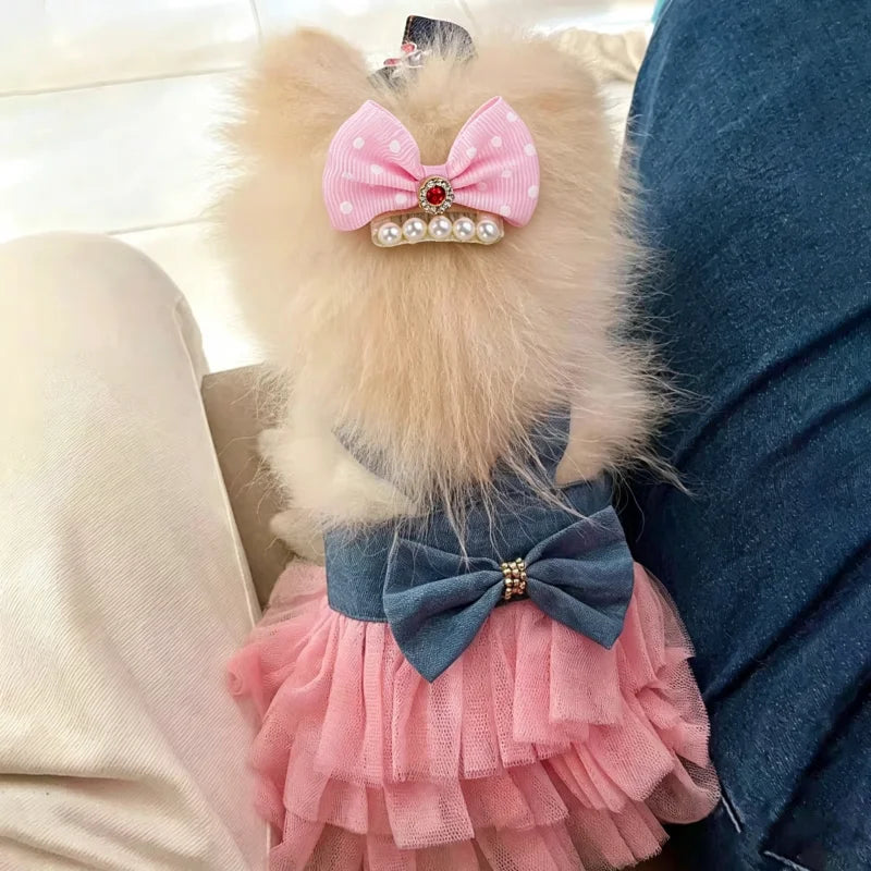 Robe à Rayures pour Animal de Compagnie avec Nœud et Dentelle
