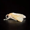 A soft and cuddly plush toy of a Luna moth with pale yellow wings and body against a dark background.