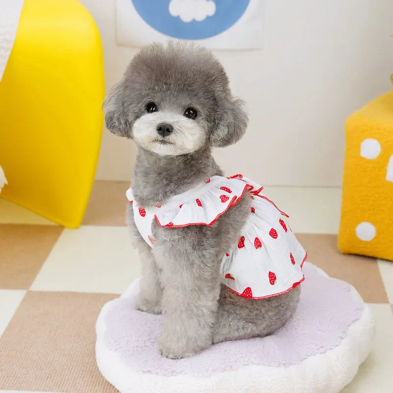 Strawberry Print Dog Dress