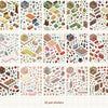 A collection of 20 pet stickers featuring various animals and nature elements for scrapbooking and journaling.