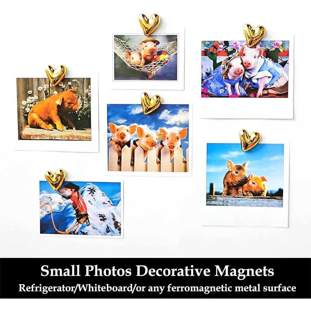 A set of twelve heart-shaped magnets featuring adorable photographs of pigs and piglets.