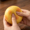 Realistic Potato Sensory Squeeze Toy