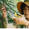 A woman is shown using a pair of stainless steel garden pruning shears with a safety lock to trim green foliage.