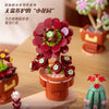 DIY Succulent Plant Building Block Bouquet