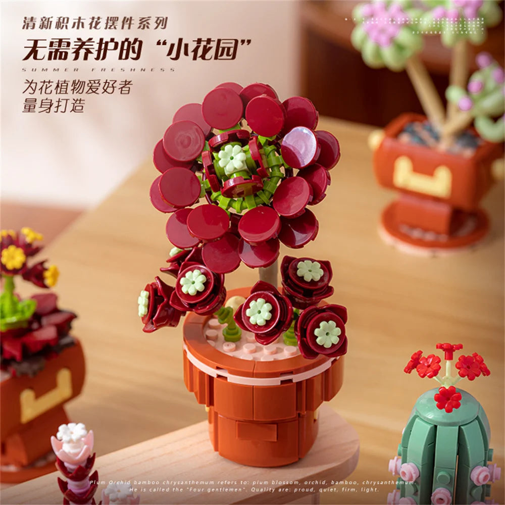 DIY Succulent Plant Building Block Bouquet
