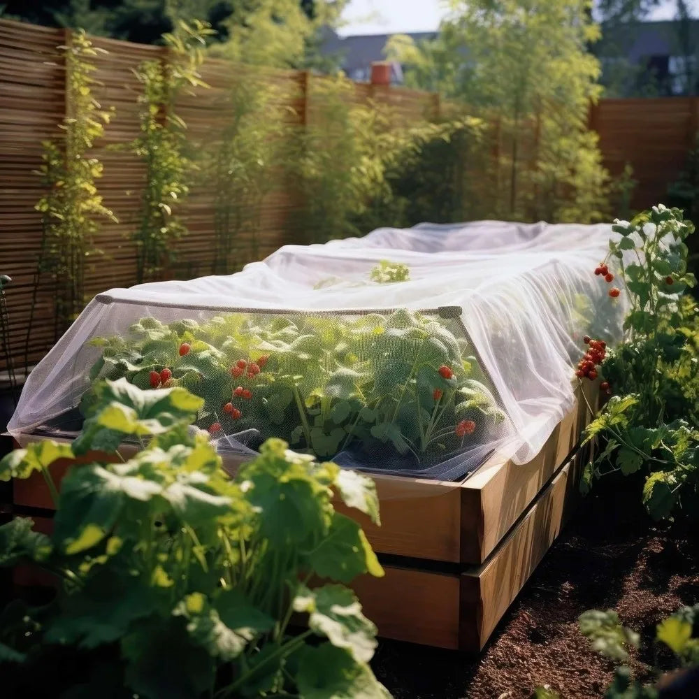 A raised garden bed covered with a fine mesh netting protecting young plants in a backyard setting.