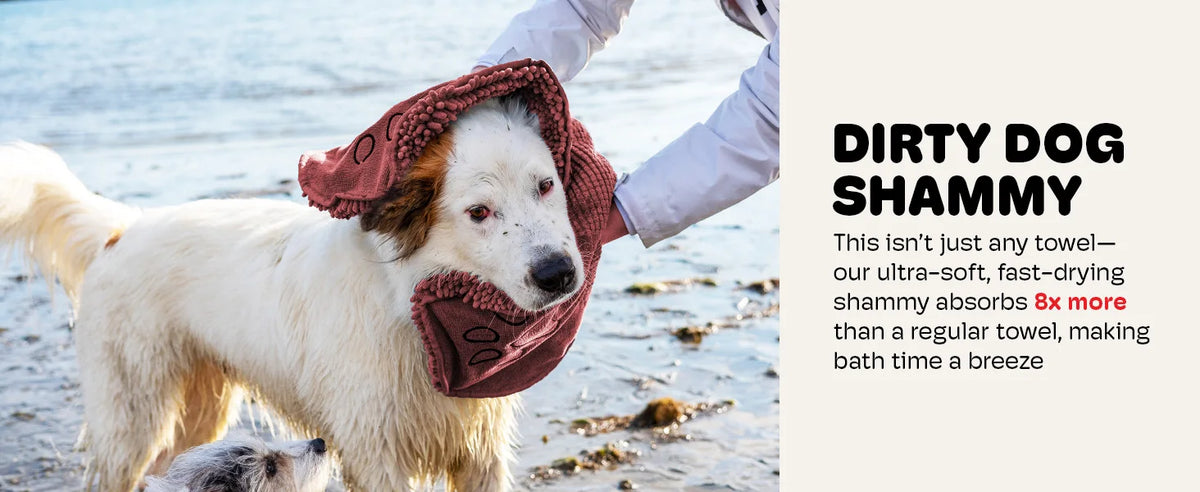 A dog wearing a dirty shammy towel on a beach, with text describing the ultra-soft, fast-drying absorbency of the towel.