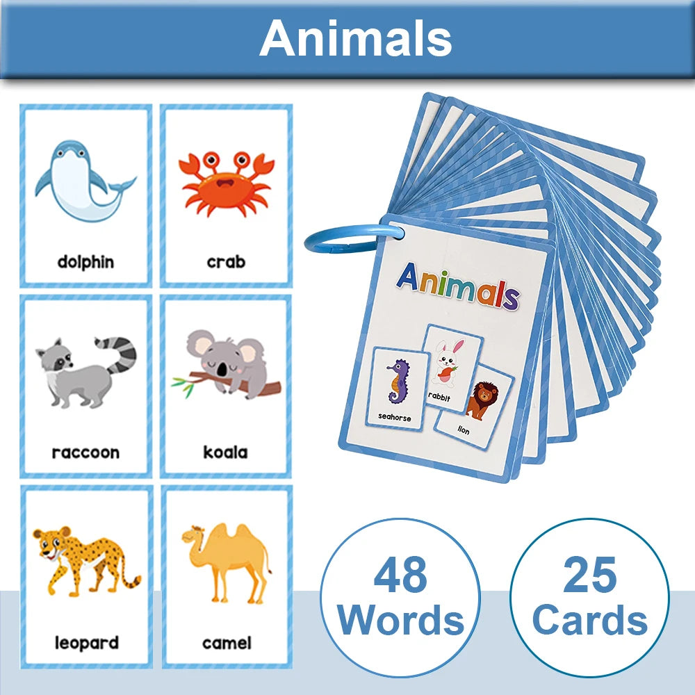 A set of 25 cards featuring animals like dolphins, crabs, raccoons, leopards, and camels.