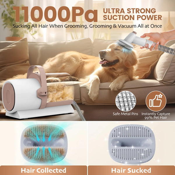 Kit d'aspirateur de toilettage pour animaux 11000Pa avec tondeuse électrique