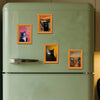 Cat Frame Fridge Magnets Set