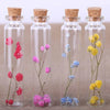 Four glass bottles containing dried pink, purple, blue, and yellow flowers with cork stoppers for DIY crafts