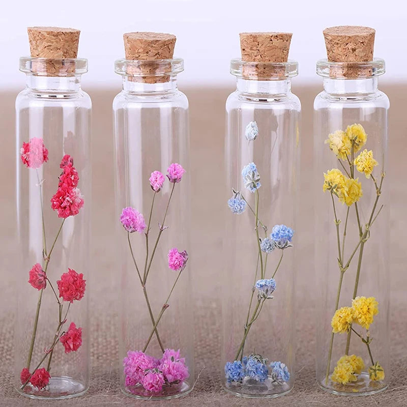 Four glass bottles containing dried pink, purple, blue, and yellow flowers with cork stoppers for DIY crafts