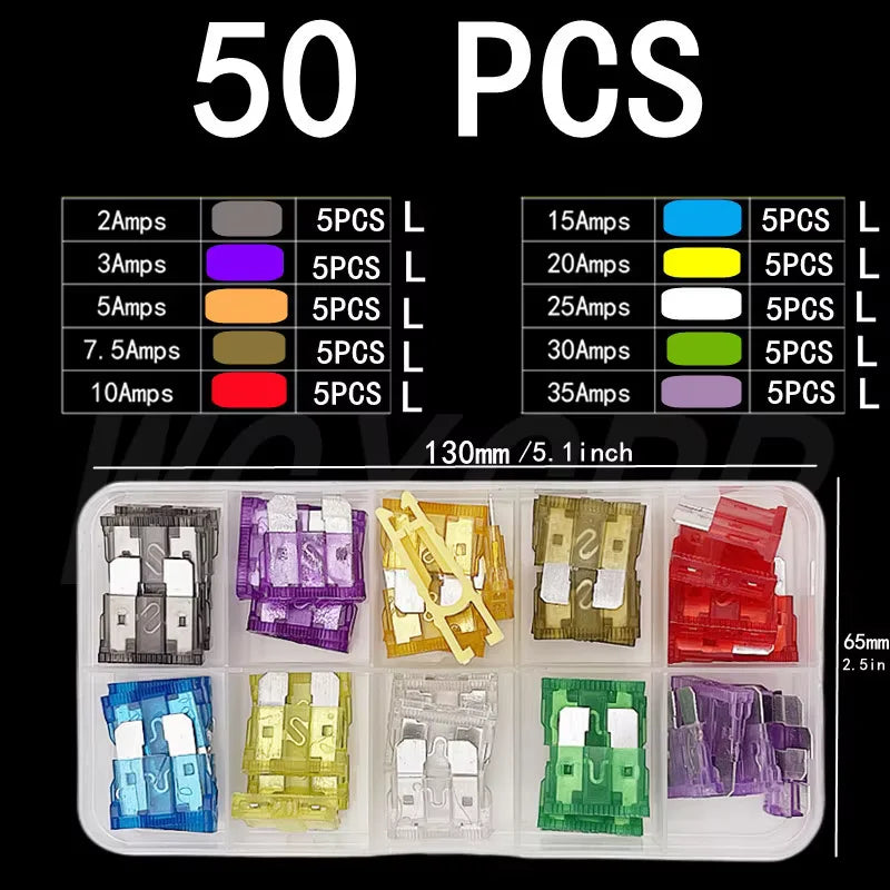 Standard & Mini Blade Fuse Assortment Kit for Cars and Trucks